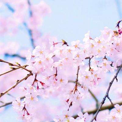 星空游戏下载手机版